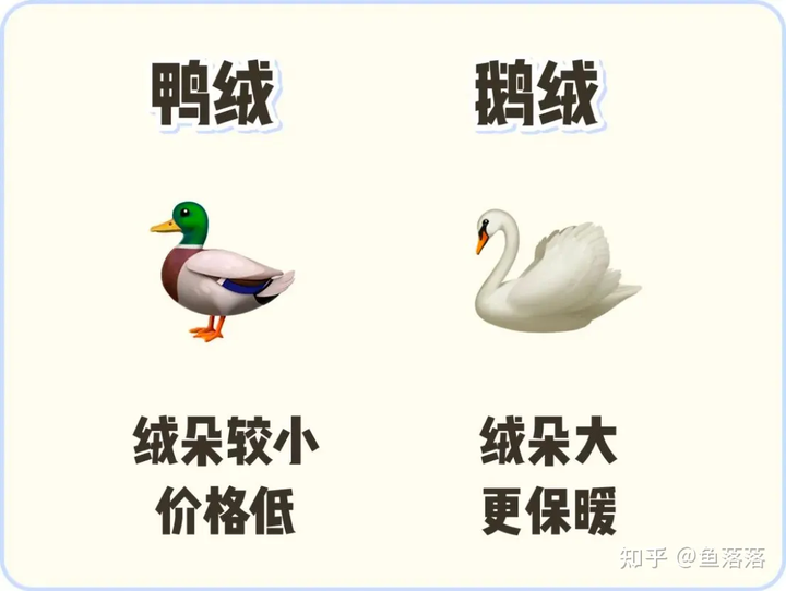 鹅绒比鸭绒更保暖.png